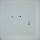 P9040004