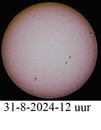 31-8-2024